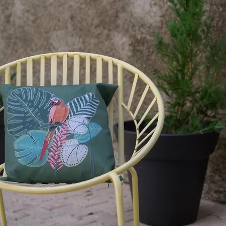 Le Pic - Hyper Centre - Balcon Et Terrasse شقة تارْب